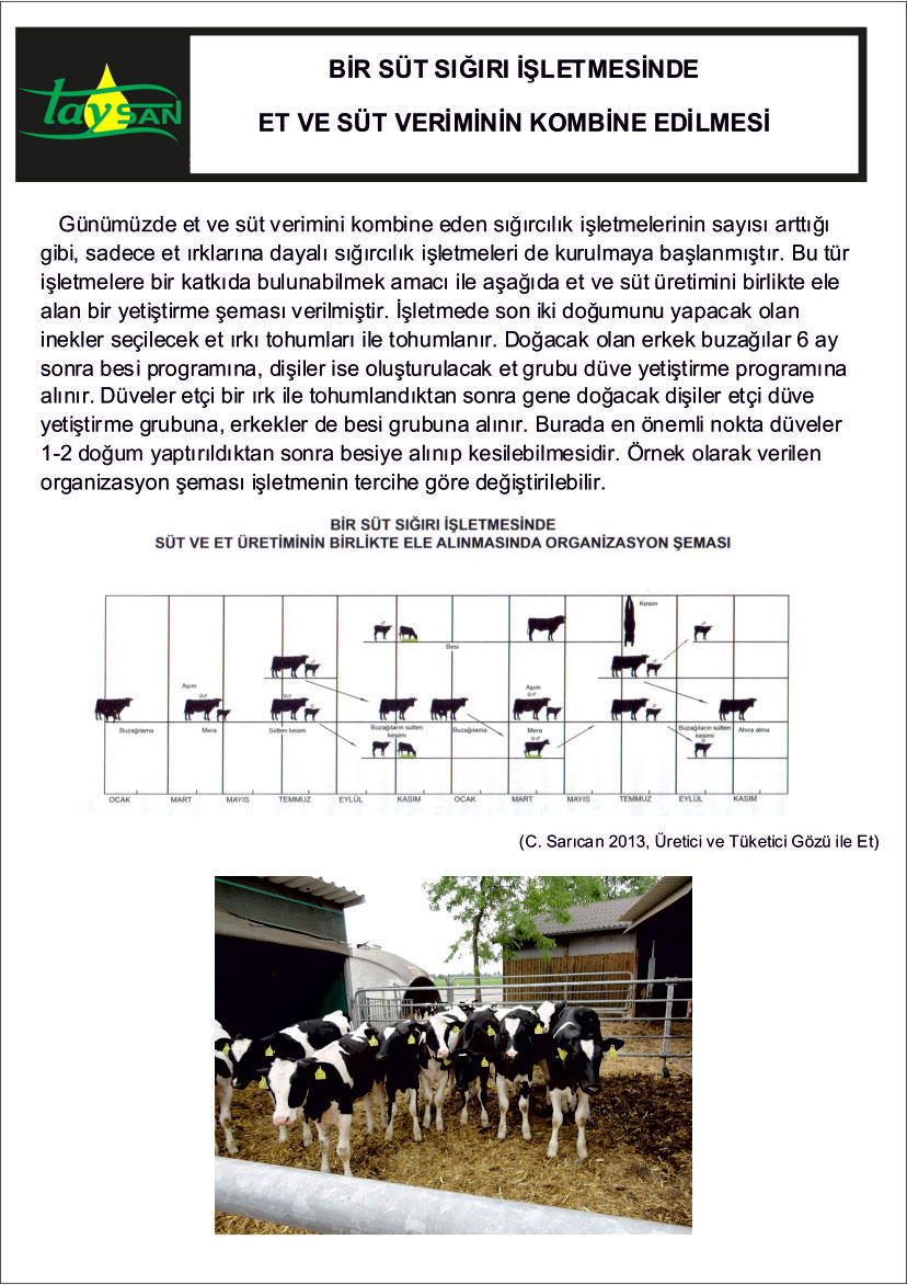 Et ve Süt Veriminin Kombine Edilmesi